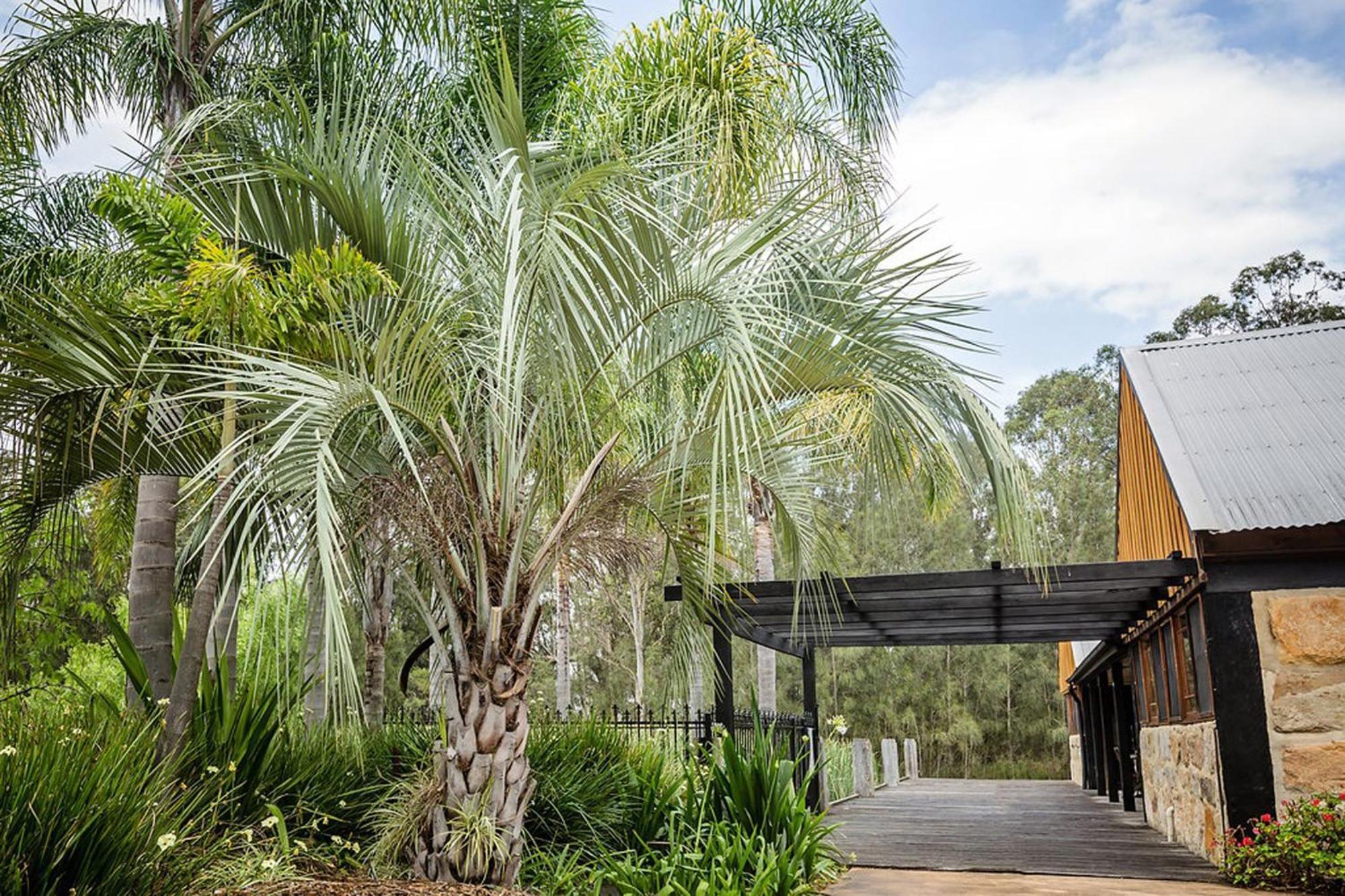 Peppers Creek Accommodation Pokolbin Exterior foto